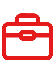 solution icon 2